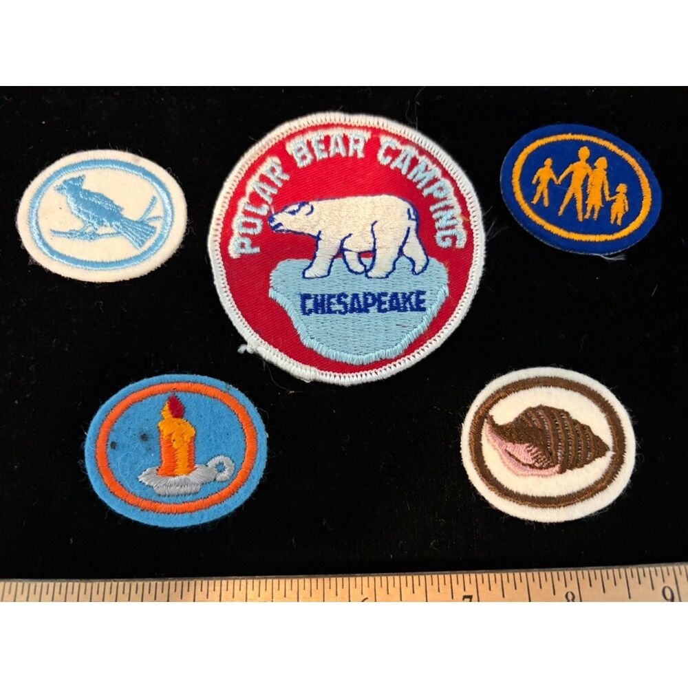 vtg Boy scouts chesapeake council polar bear camping merit patches